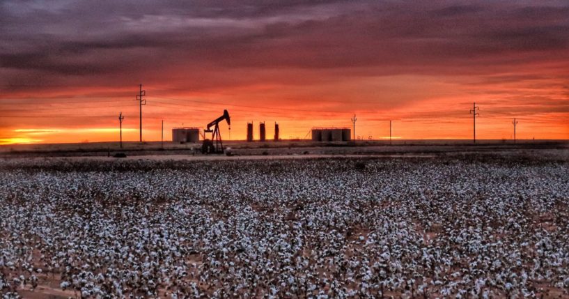 An undated stock photo shows a cotton field in Midland, Texas, with a pump jack in the background at sunrise.