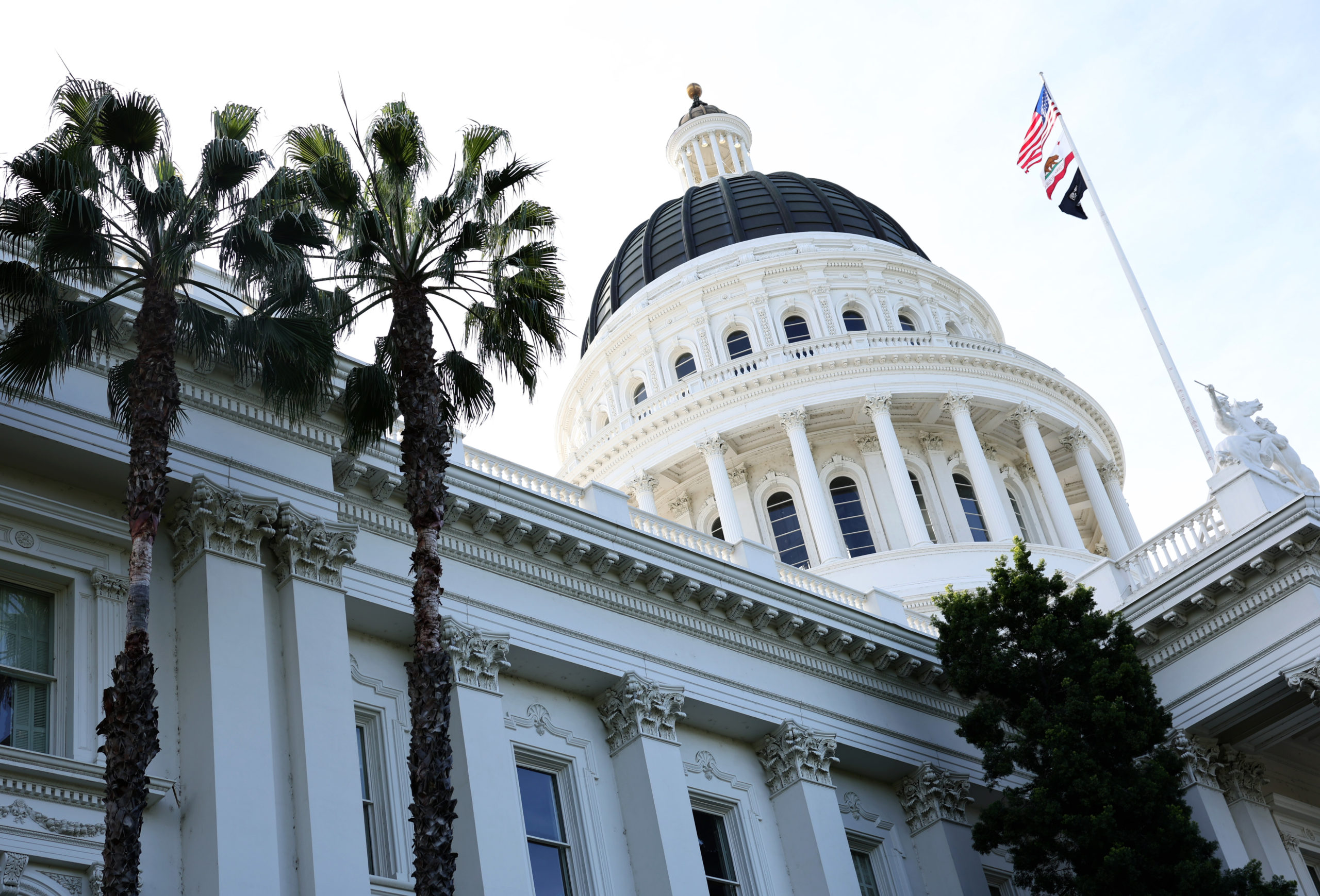 California Cancels Reparations for Slave Descendants, Proposes Alternative