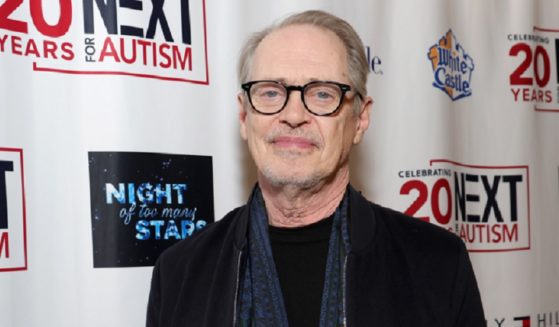 Actor Steve Buscemi, pictured in a December file photo from the "Night of Too Many Stars" benefit for autism in New York City.