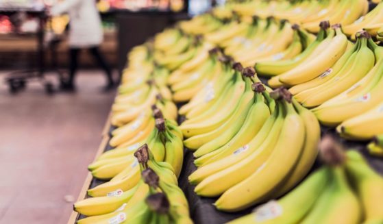 This image shows many bananas on display at a grocery store.