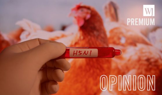 Could bird flu be a political ploy to interfere with the 2024 presidential election?