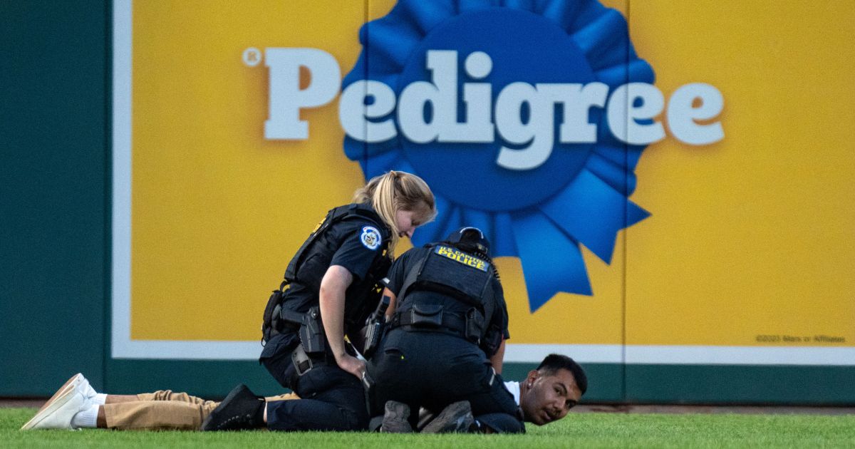 Climate protesters attempt to disrupt US baseball game, police intervene before they reach outfield