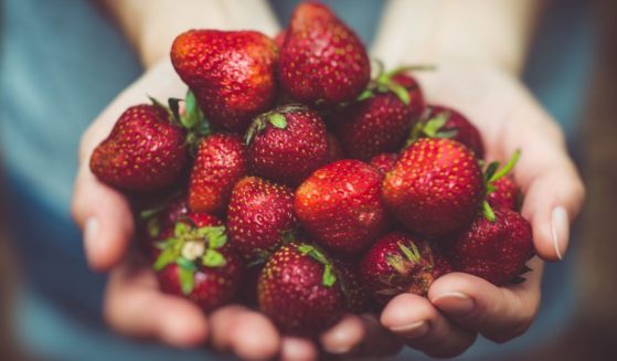 This image shows two hands holding a bunch of strawberries.