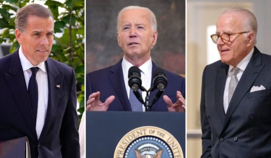 Hunter Biden, Joe Biden and James Biden in a combination photo