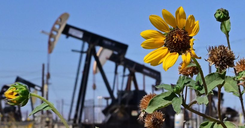 Wildflowers grow near oil pumpjacks along a section of Highway 33 known as the Petroleum Highway north of McKittrick in Kern County, California in a file photo from September 2022.