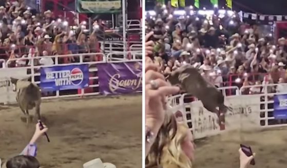 These YouTube screen shots show a bull leaping into a crowd at Sisters Rodeo in Oregon on June 9, 2024.