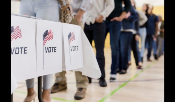 This Getty stock image shows a line of people waiting to vote.