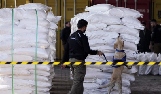An agent from Paraguay's anti-drug agency, Senad, and an anti-drug dog inspect sacks of sugar at the port of Caacupemi in Asuncion, Paraguay on Tuesday, July 16, 2024.