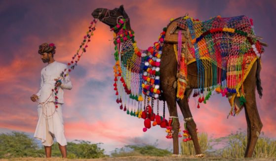 This image shows a man from the Rabari people group leading his camel on the road. His camel is wearing a beautifully woven covering.