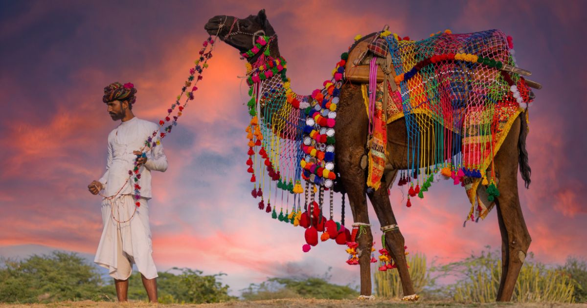 This image shows a man from the Rabari people group leading his camel on the road. His camel is wearing a beautifully woven covering.