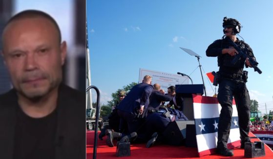 Former Secret Service agent Dan Bongino, left, broke down the actions of the Secret Service at a campaign rally for former President Donald Trump in Butler, Pennsylvania, on Saturday - where a gunman attempted to assassinate Trump, right.