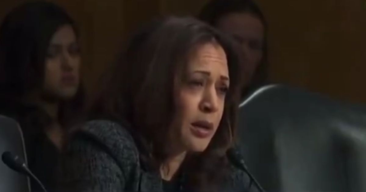 Watch: Remember the Time Kamala Got People to Compare ICE to the KKK? We Do