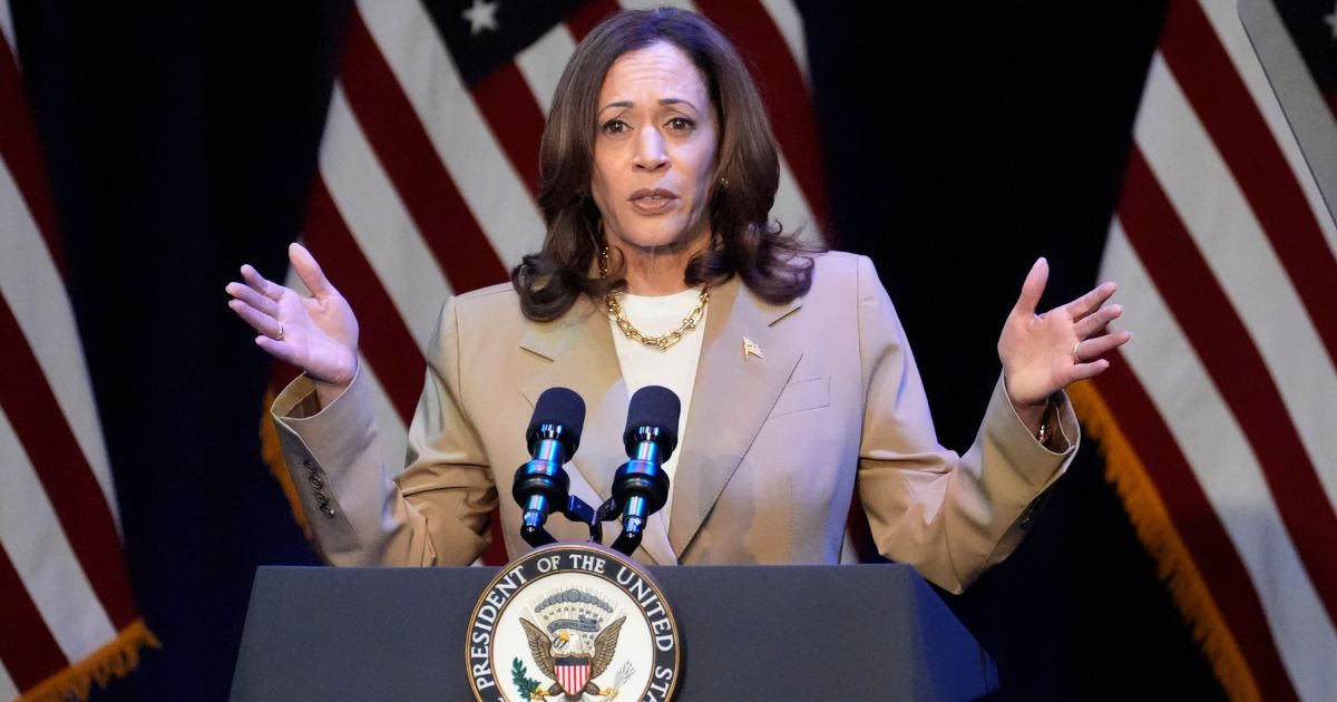 Despite Publicly Hyping Kamala Harris, Democrats Are Singing a Different Tune in Private: Report