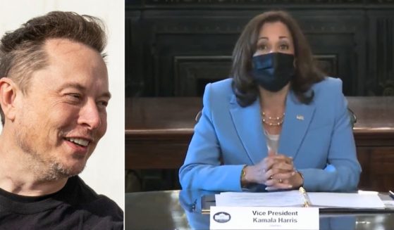 In a post on X, Elon Musk, left, expressed his disdain for the idea of Vice President Kamala Harris, right, becoming president.