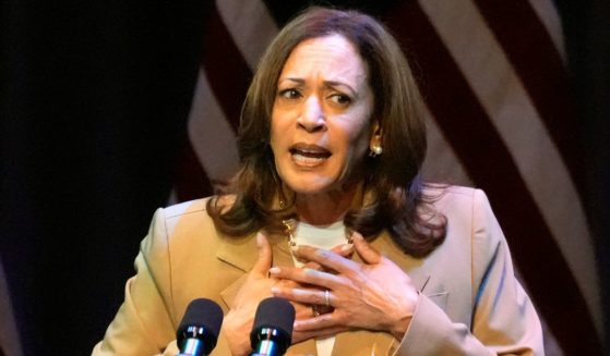 US Vice President and Democratic presidential candidate Kamala Harris speaks during a campaign fundraising event.