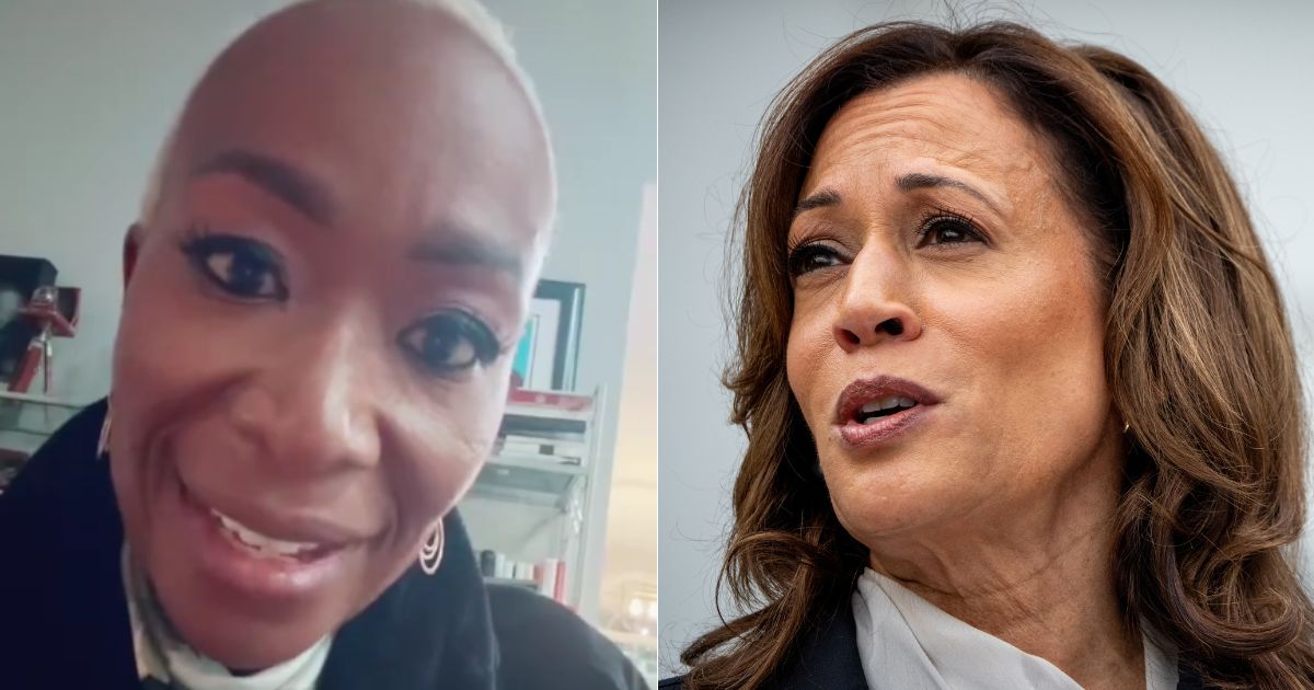 In a video posted to X on Tuesday, Joy Reid, left, spoke to black voters, telling them it is their obligation to vote for Vice President Kamala Harris, right, in November.