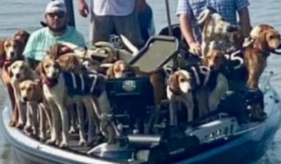 In June, three fishermen rescued 38 hound dogs that had been in the water for almost an hour in Grenada, Mississippi.