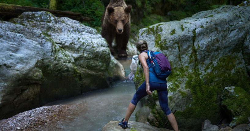 This image shows an unexpected encounter of a woman hiker with a grizzly bear at a river crossing in a canyon. It is a mixed media, conceptual shot of the dangers in the wilderness.