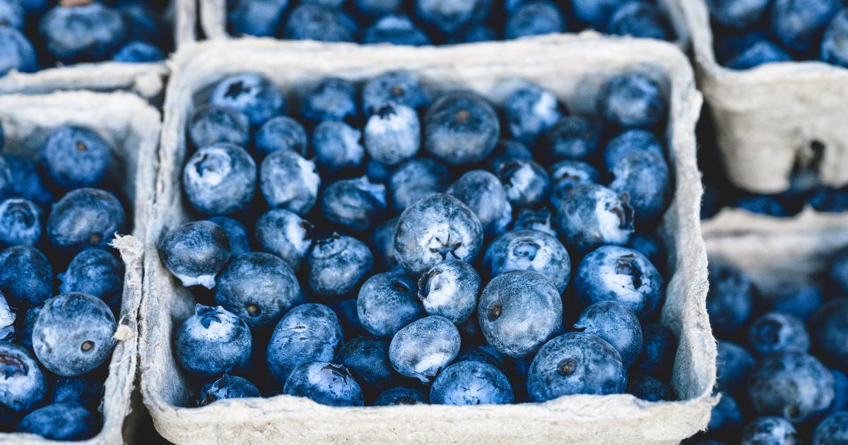 This image shows containers of fresh blueberries on display at a market.
