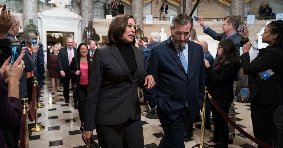 Ted Cruz Issues a Warning to Fellow Republicans After Kamala Harris Replaces Joe Biden: ‘Very Worried’