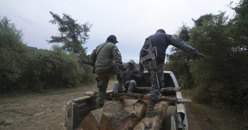 Communal police forest officers walk on seized pine logs they found hidden in the brush along the road while on patrol, on the outskirts of the Indigenous township of Cheran, Michoacan state, Mexico, January 20, 2022.