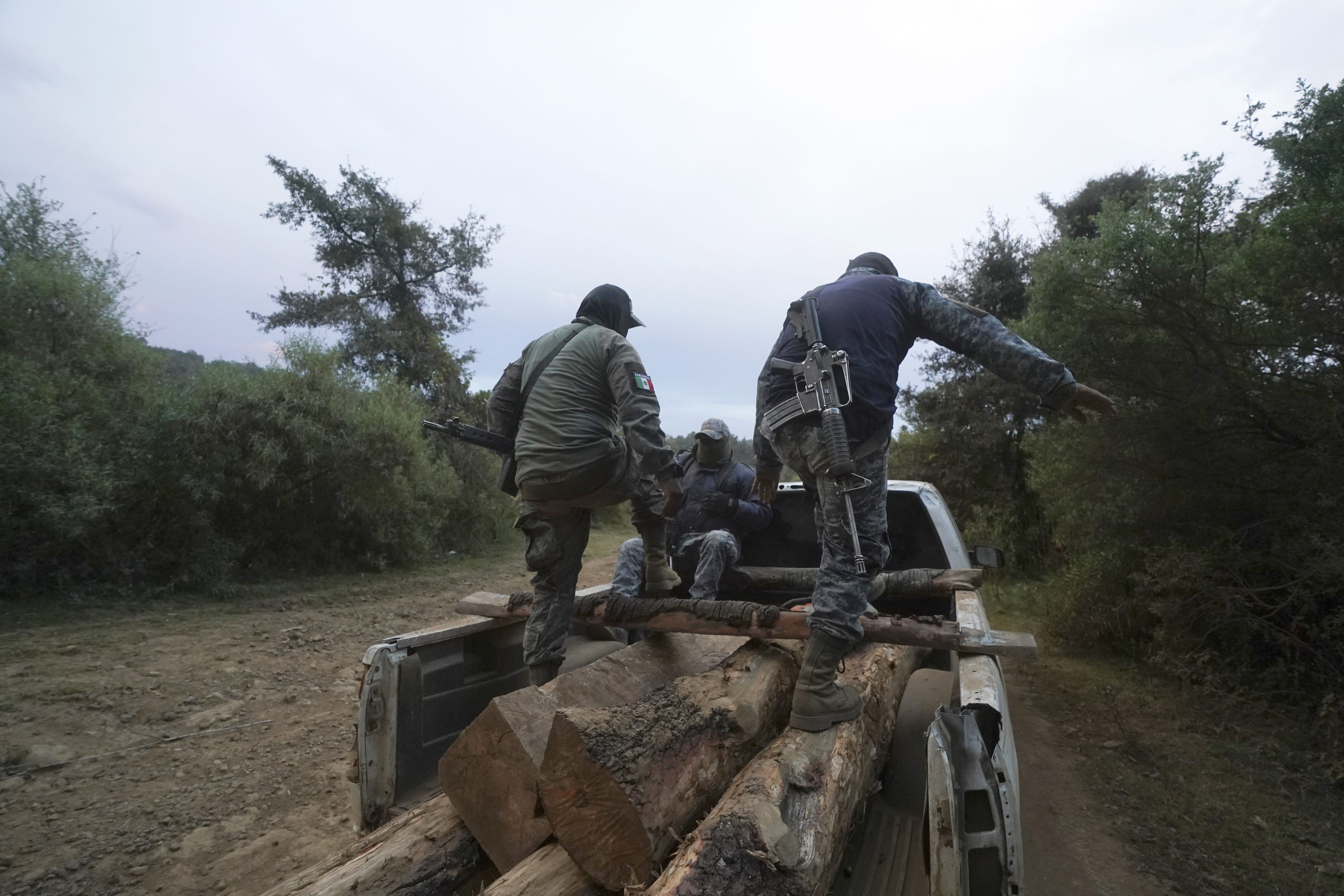 Communal police forest officers walk on seized pine logs they found hidden in the brush along the road while on patrol, on the outskirts of the Indigenous township of Cheran, Michoacan state, Mexico, January 20, 2022.