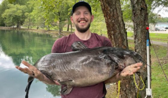 Tyler Rutherford of West Virginia caught a record-breaking catfish on a family farm pond using his toddler daughter's little pink fishing pole.