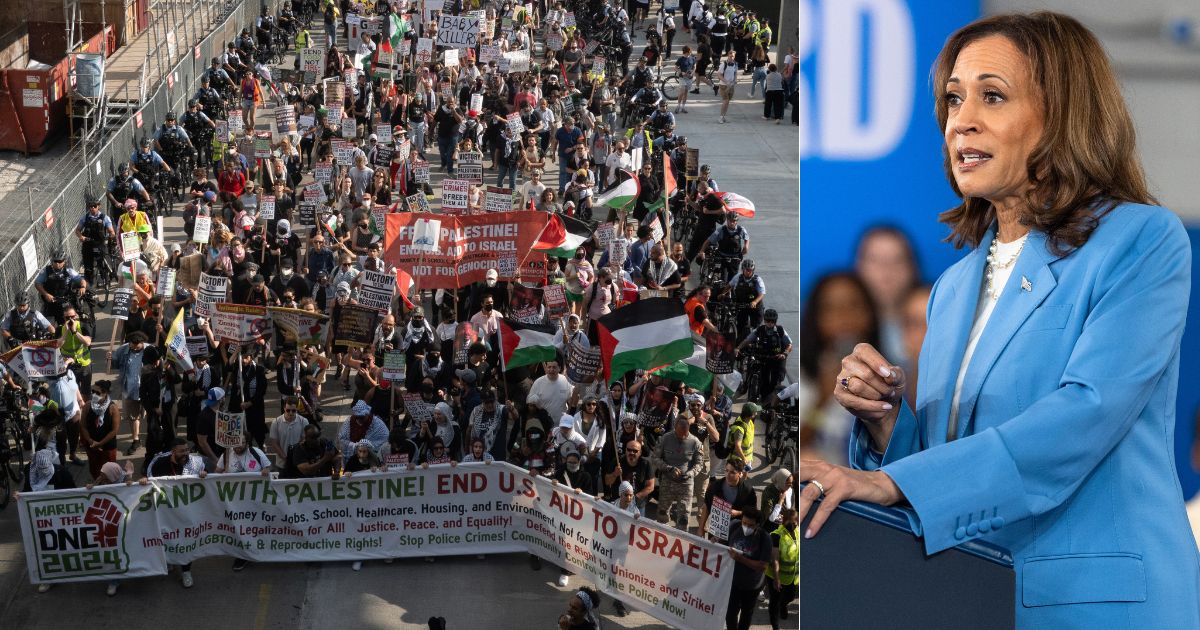 On day one of the DNC, pro-Palestinian protesters marched through Chicago, even targeting Vice President Kamala Harris, right, in their chants.