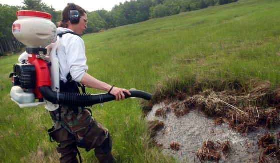 Dragon Mosquito Control employee Devin Hanington sprays a swamp to help curb the mosquito population in New Hampshire to help prevent the spread of the West Nile Virus and Eastern Equine Encephalitis.