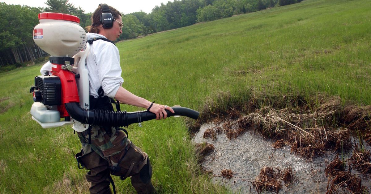 New England Health Officials Institute 6 PM Curfew Over Disease Concerns – Residents Furious