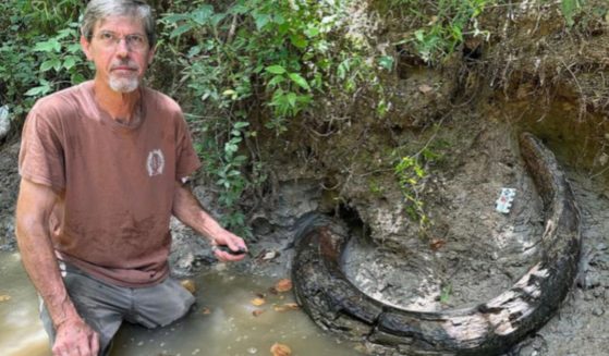 Eddie Templeton poses with a mammoth tusk fossil that he discovered in Madison County, Mississippi.