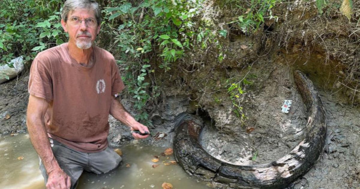 Discovery of Elephant Fossil from the Ice Age in Mississippi