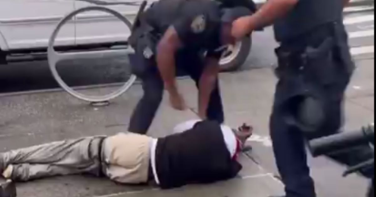 Watch: Cop Beats the Stew Out of Thug Who Punched Female Officer, Ends Fight with Utterly Humiliating Twist