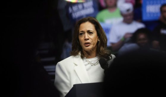 Democratic presidential candidate US Vice President Kamala Harris speaks at a campaign rally at Enmarket Arena during a two-day campaign bus tour in Savannah, Georgia, on August 29, 2024.