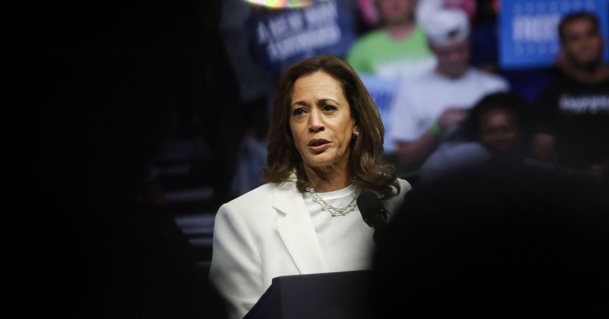 Democratic presidential candidate US Vice President Kamala Harris speaks at a campaign rally at Enmarket Arena during a two-day campaign bus tour in Savannah, Georgia, on August 29, 2024.