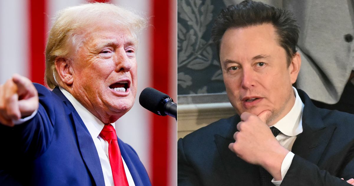 Musk Tells Trump He’d Serve on a Commission to Address Nation’s Government Spending Crisis