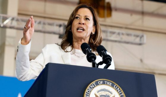 US Vice President and Democratic presidential candidate Kamala Harris speaks during a campaign rally at Detroit Metropolitan Airport in Romulus, Michigan, August 7, 2024.