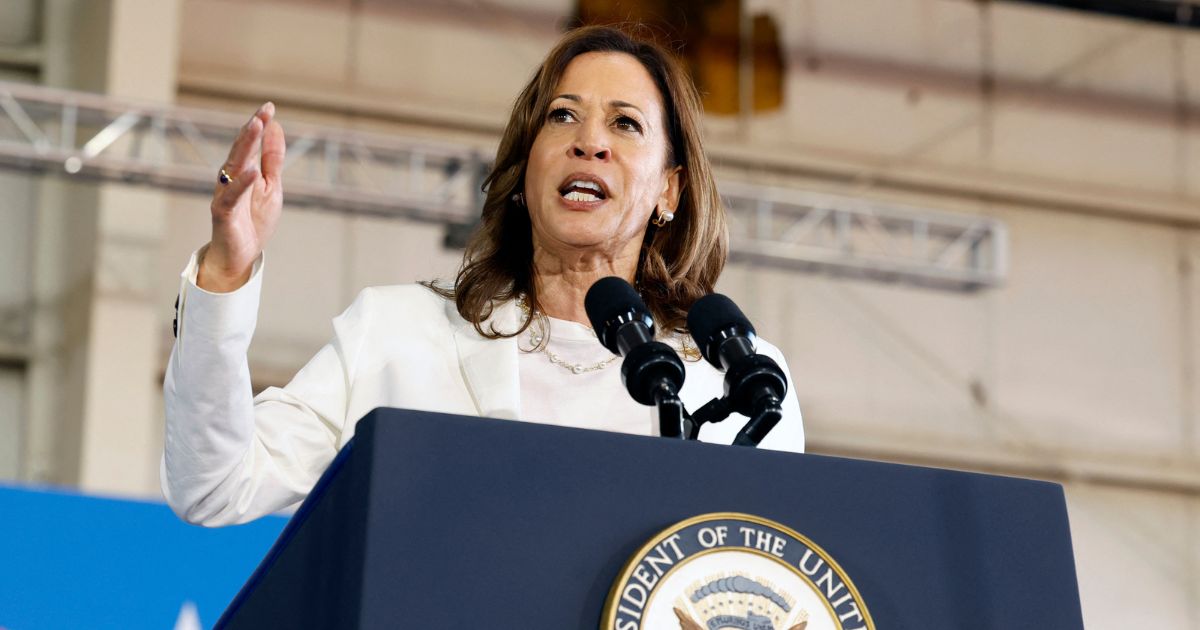 US Vice President and Democratic presidential candidate Kamala Harris speaks during a campaign rally at Detroit Metropolitan Airport in Romulus, Michigan, August 7, 2024.