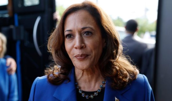 Democratic presidential candidate, U.S. Vice President Kamala Harris speaks to reporters outside of Primanti Bros. Restaurant on August 18, 2024 in Moon Township, Pennsylvania.