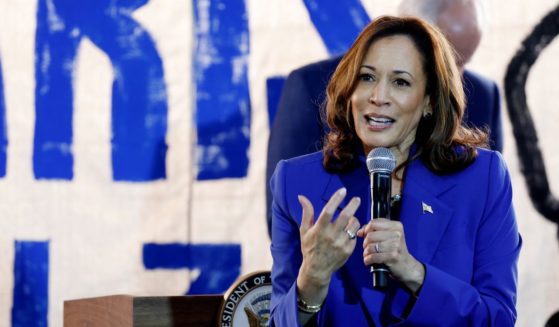 Democratic presidential candidate, U.S. Vice President Kamala Harris speaks at a campaign canvass kickoff event at a Beaver County Field Office on August 18, 2024 in Rochester, Pennsylvania.