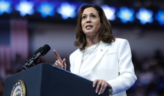 Democratic presidential nominee, U.S. Vice President Kamala Harris speaks at a campaign rally at the Enmarket Arena August 29, 2024 in Savannah, Georgia.