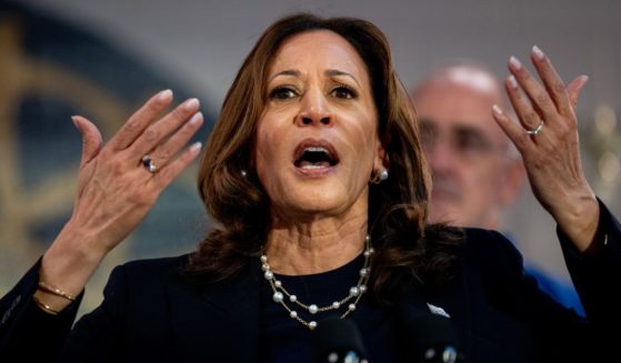 Democratic presidential candidate, U.S. Vice President Kamala Harris speaks at a campaign rally at United Auto Workers Local 900 on August 8, 2024 in Wayne, Michigan. Kamala Harris and her newly selected running mate Tim Walz are campaigning across the country this week.