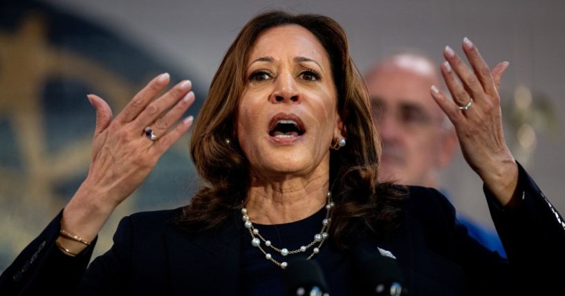 Democratic presidential candidate, U.S. Vice President Kamala Harris speaks at a campaign rally at United Auto Workers Local 900 on August 8, 2024 in Wayne, Michigan. Kamala Harris and her newly selected running mate Tim Walz are campaigning across the country this week.