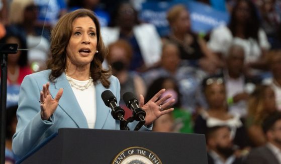 Democratic presidential candidate, U.S. Vice President Kamala Harris speaks at a campaign rally at the Georgia State Convocation Center on July 30, 2024 in Atlanta, Georgia.