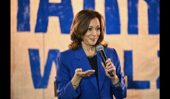 US Vice President and Democratic presidential candidate Kamala Harris speaks during a stop on her campaign bus tour in Rochester, Pennsylvania, on August 18, 2024.