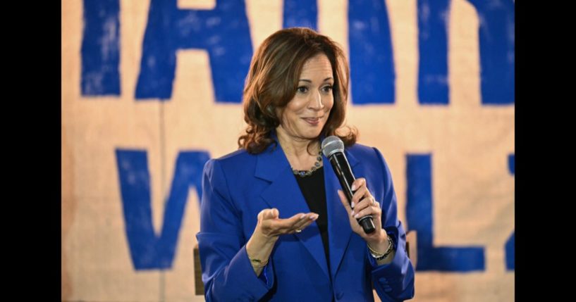 US Vice President and Democratic presidential candidate Kamala Harris speaks during a stop on her campaign bus tour in Rochester, Pennsylvania, on August 18, 2024.