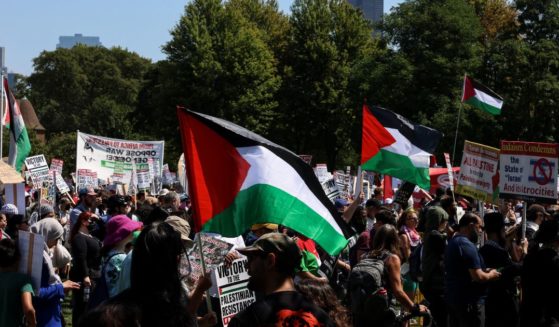 Pro-Palestinian protesters demonstrate in Union Park before the start of the Democratic National Convention (DNC) in Chicago, Illinois, on August 19, 2024.