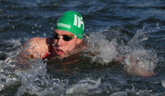 Daniel Wiffen of Team Ireland competes in the Marathon Swimming Men's 10k on day fourteen of the Olympic Games Paris 2024 at Pont Alexandre III on August 9, 2024 in Paris, France.