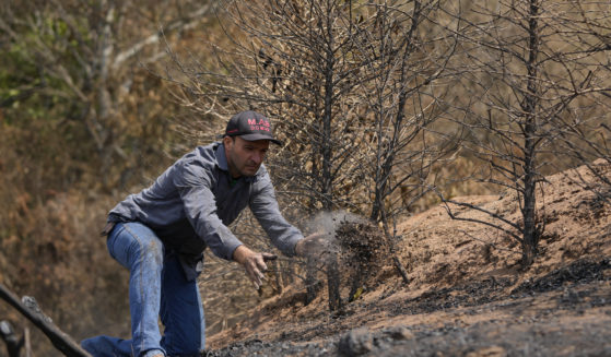 Coffee producer Silvio Elias de Almeida tosses a handful of damaged coffee beans during an inspection of his plantation consumed by wildfires in a rural area of Caconde, Brazil, on Wednesday.