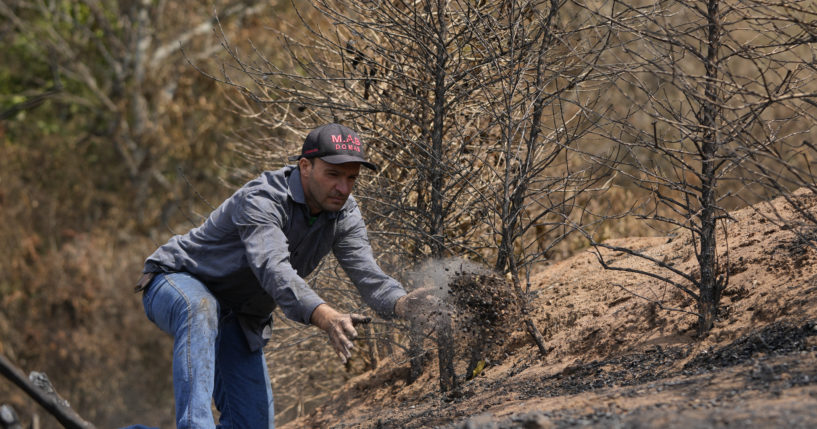 Coffee producer Silvio Elias de Almeida tosses a handful of damaged coffee beans during an inspection of his plantation consumed by wildfires in a rural area of Caconde, Brazil, on Wednesday.